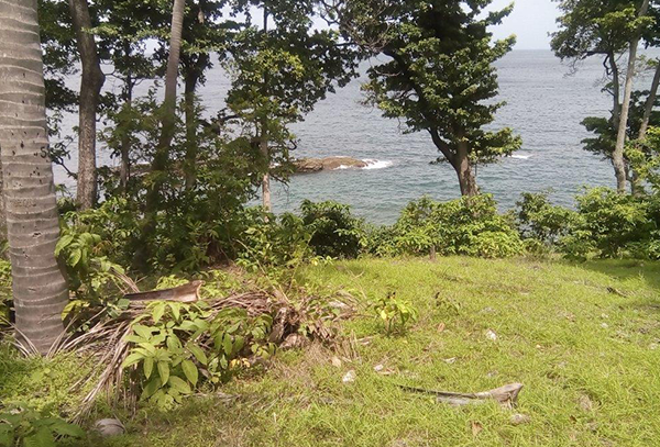 Land Acquisition, Andaman and Nicobar islands